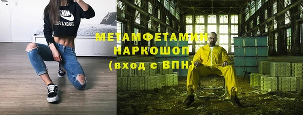 прущие грибы Аркадак