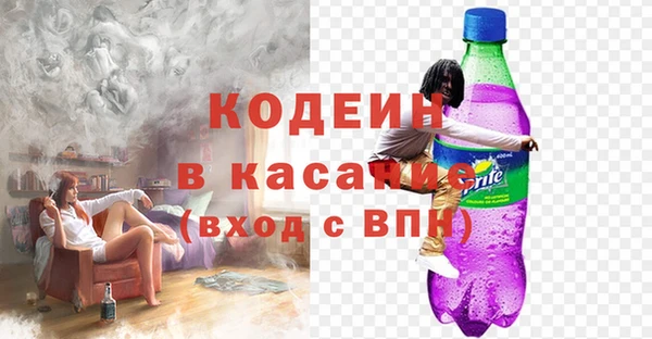 прущие грибы Аркадак