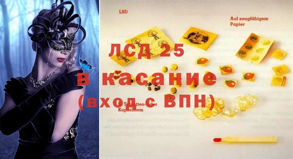 прущие грибы Аркадак