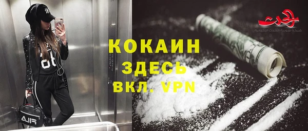 прущие грибы Аркадак