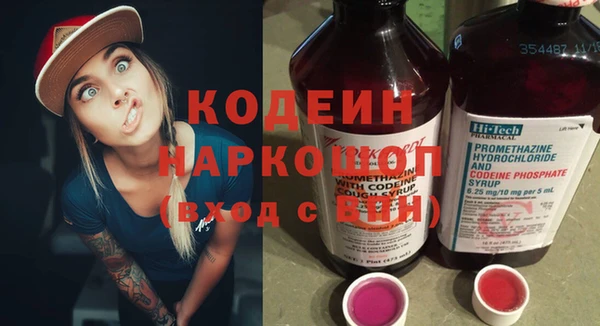 прущие грибы Аркадак
