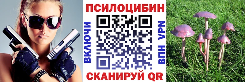Псилоцибиновые грибы мицелий  Удачный 